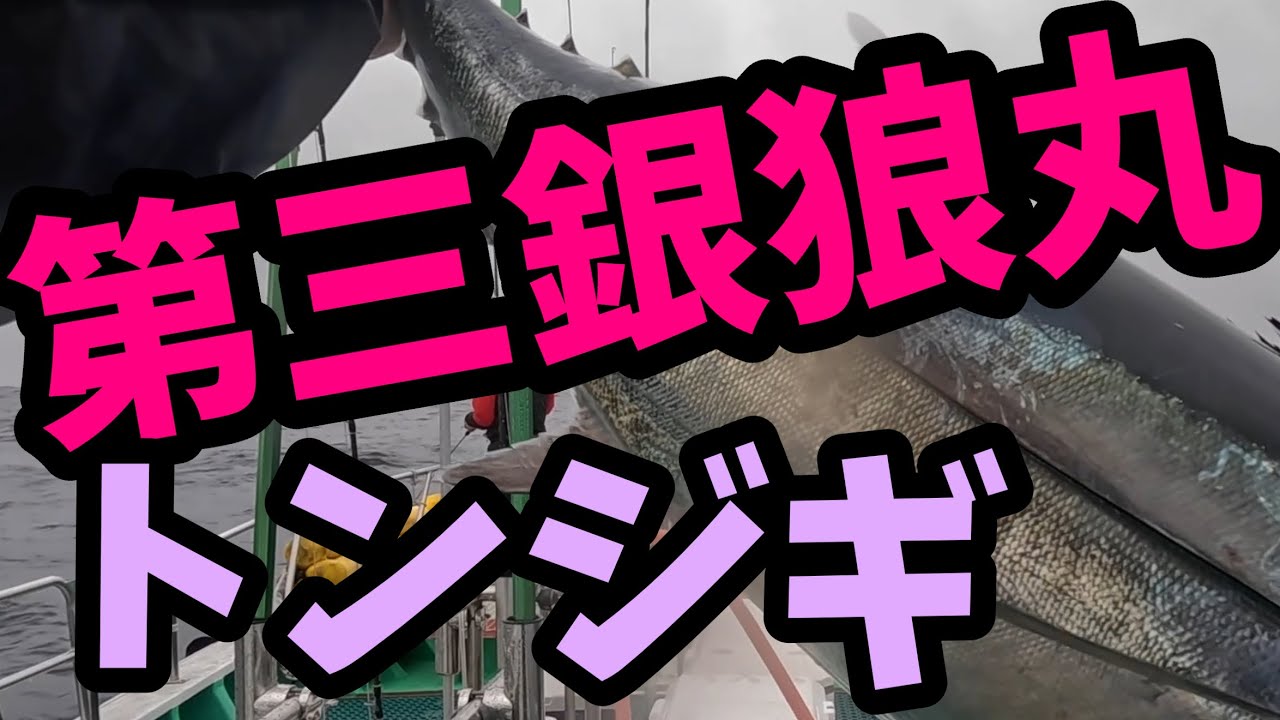 【トンジギ】愛知県🎣第三銀狼丸🌊伊勢湾沖トンボ（ビンチョウマグロ）ジギング　#FishingDreamHappens