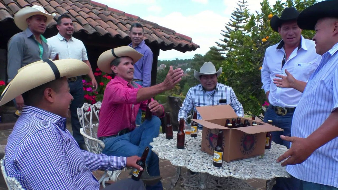 BANDA PELAVACAS AMARLA ES UN PLACER