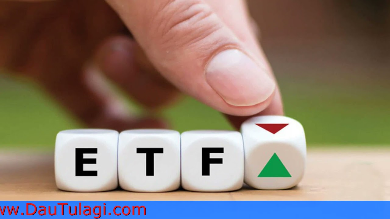 Quỹ ETF E1VFVN30 l&agrave; g&igrave; ? So S&aacute;nh quỹ ETF E1VFVN30 v&agrave; Quỹ TCEF Top 30  ?