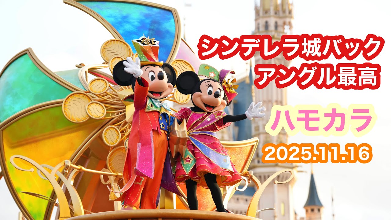 【TDL】ハモカラ2025.11.16アングル最高