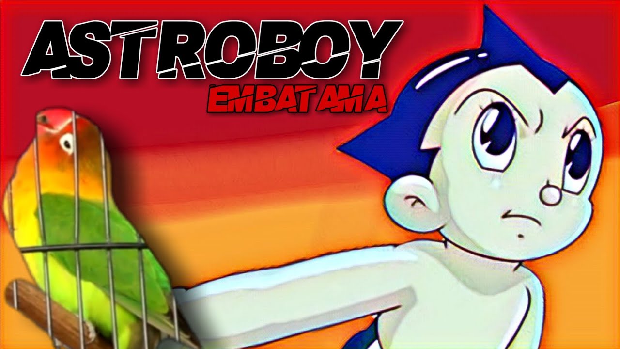 LOVEBIRD KONSLET ASTROBOY EMBATAMA