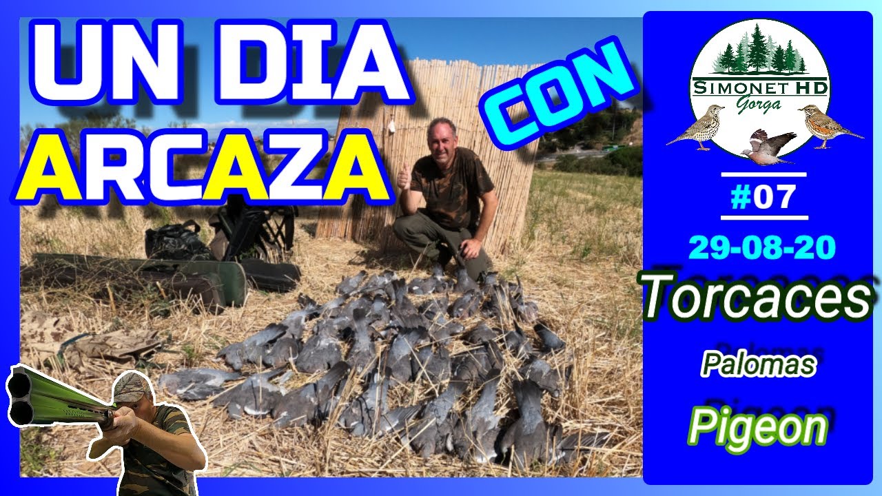 ✔️🅼🅴🅳🅸🅰 🆅🅴🅳🅰 🎥 Tirada de 𝓟𝓪𝓵𝓸𝓶𝓪𝓼 𝓣𝓸𝓻𝓬𝓪𝓬𝓮𝓼 con Arcaza