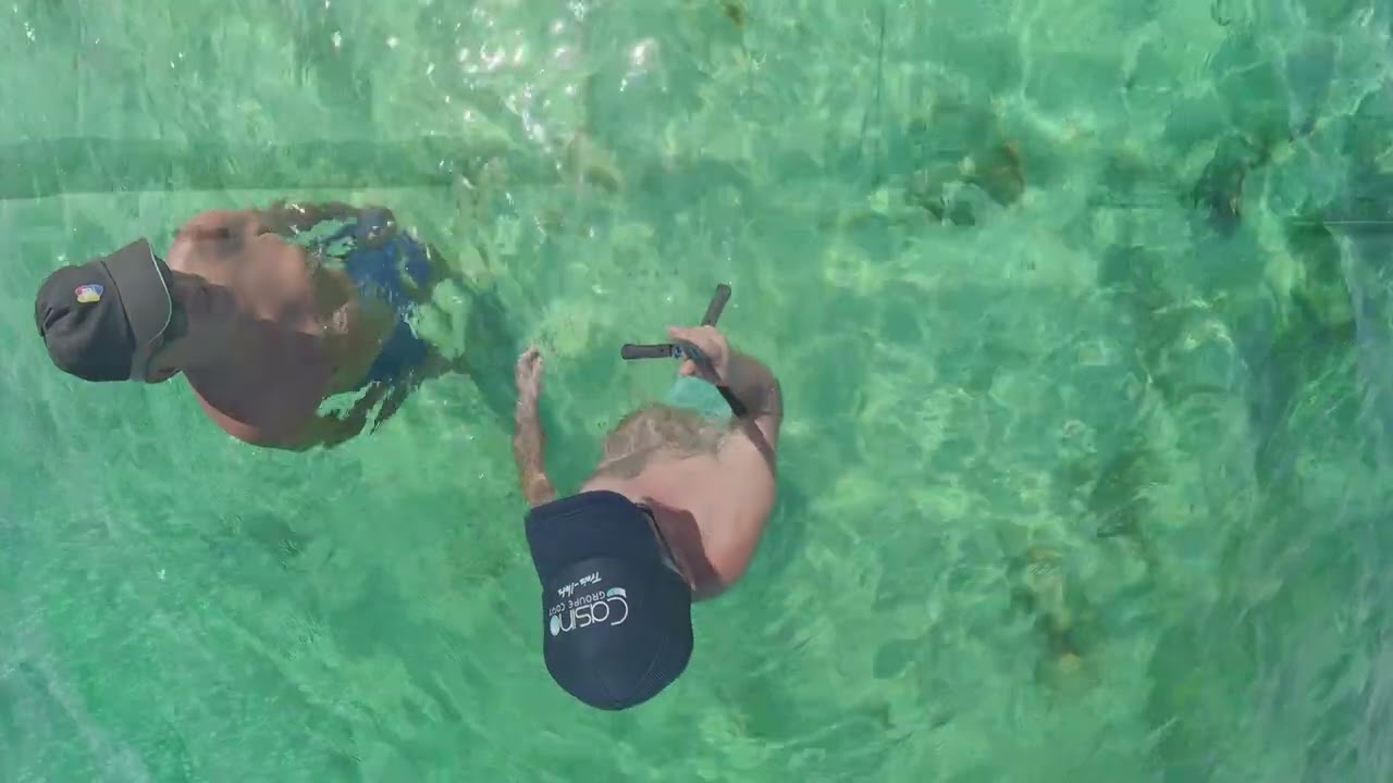 Les fond blancs avec Hervé  -  Martinique