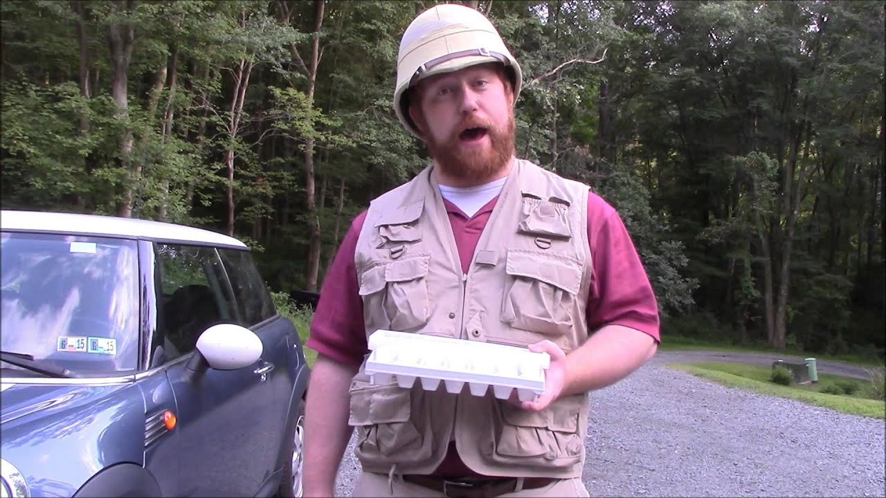 Colt Sebastian Taylor's ASL Ice Bucket Challenge