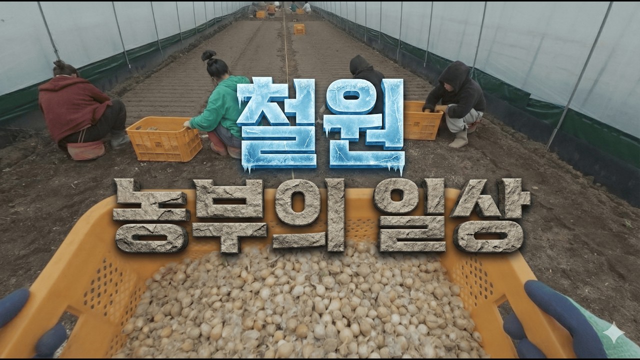 철원에서 농사짓는 청년 농부의 일상