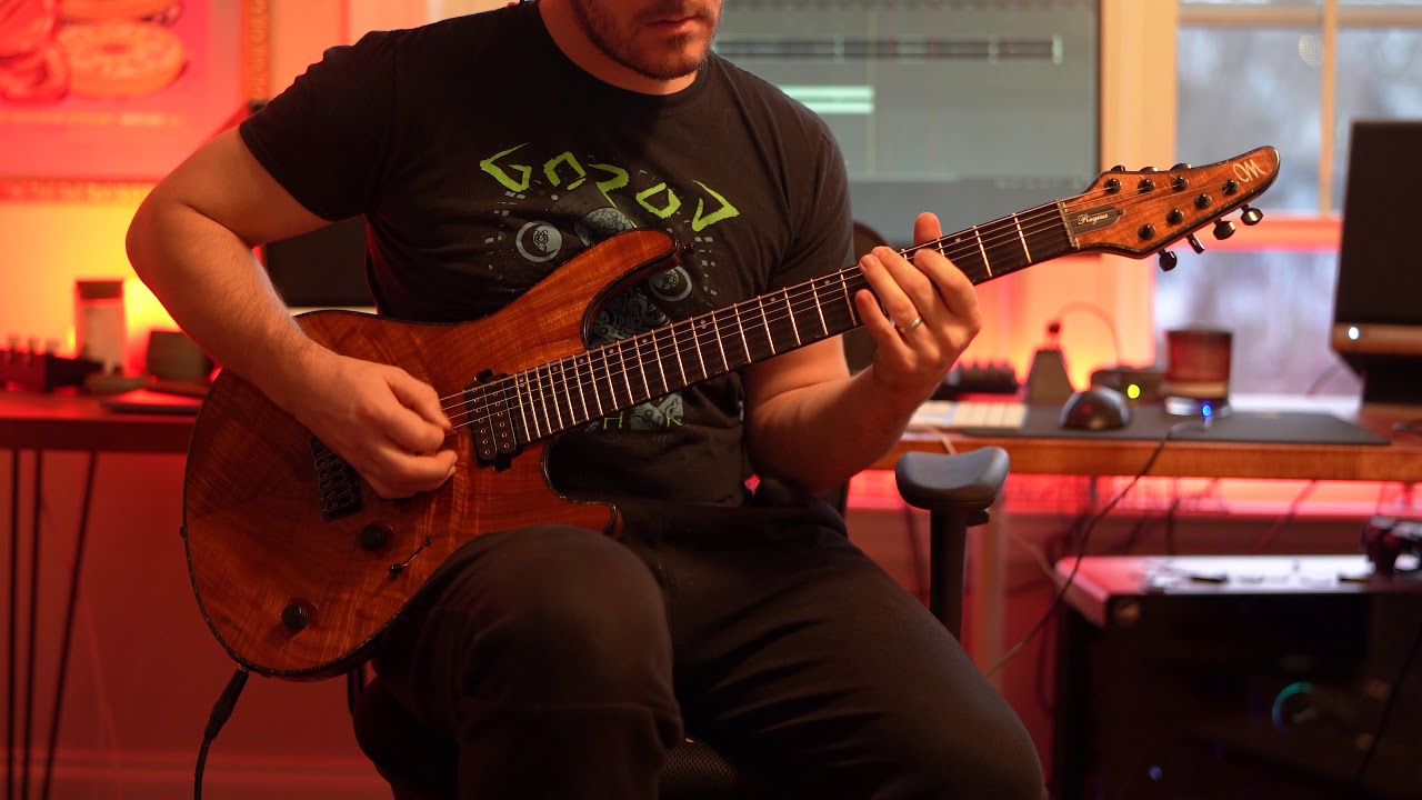 Entheos - The World Without Us - Guitar Cover - Mayones Regius - AX8