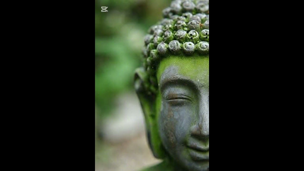 #peacemantra  “Om Mani Padme Hum” 