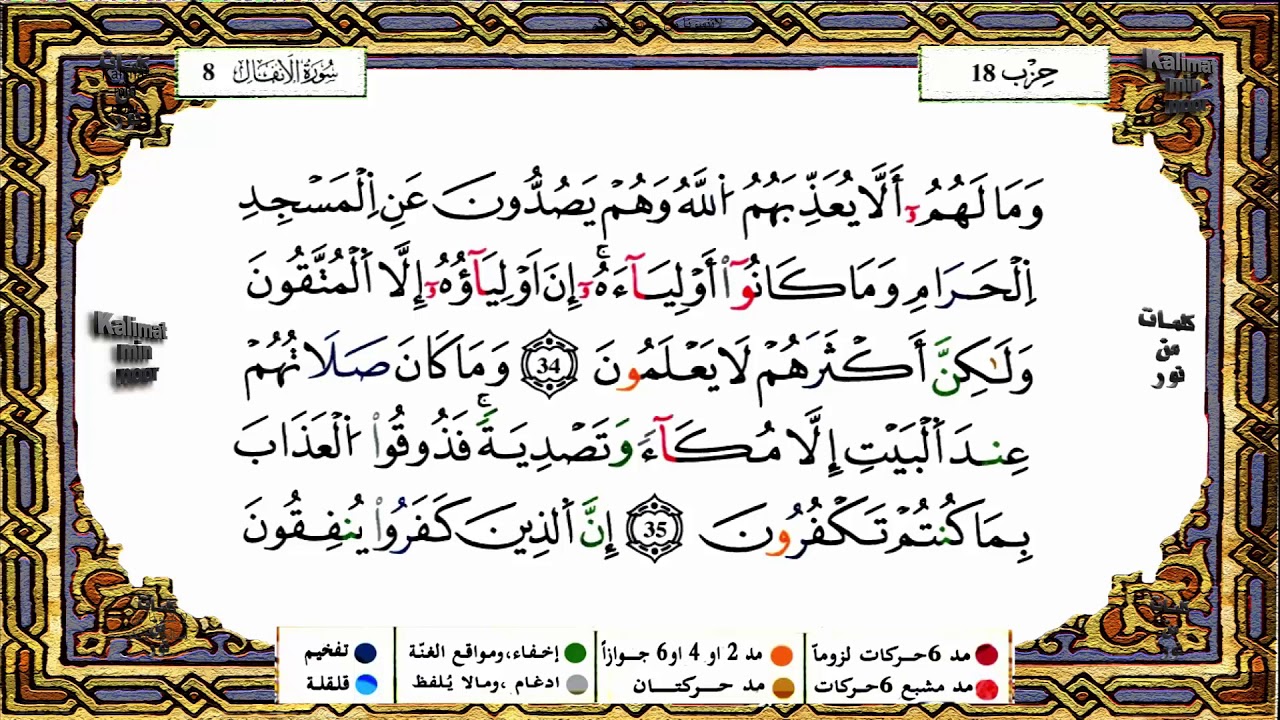 سورة الانفال برواية ورش القارئ ياسين الجزائري