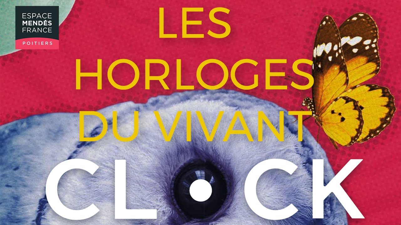 Clock - Les horloges du vivant