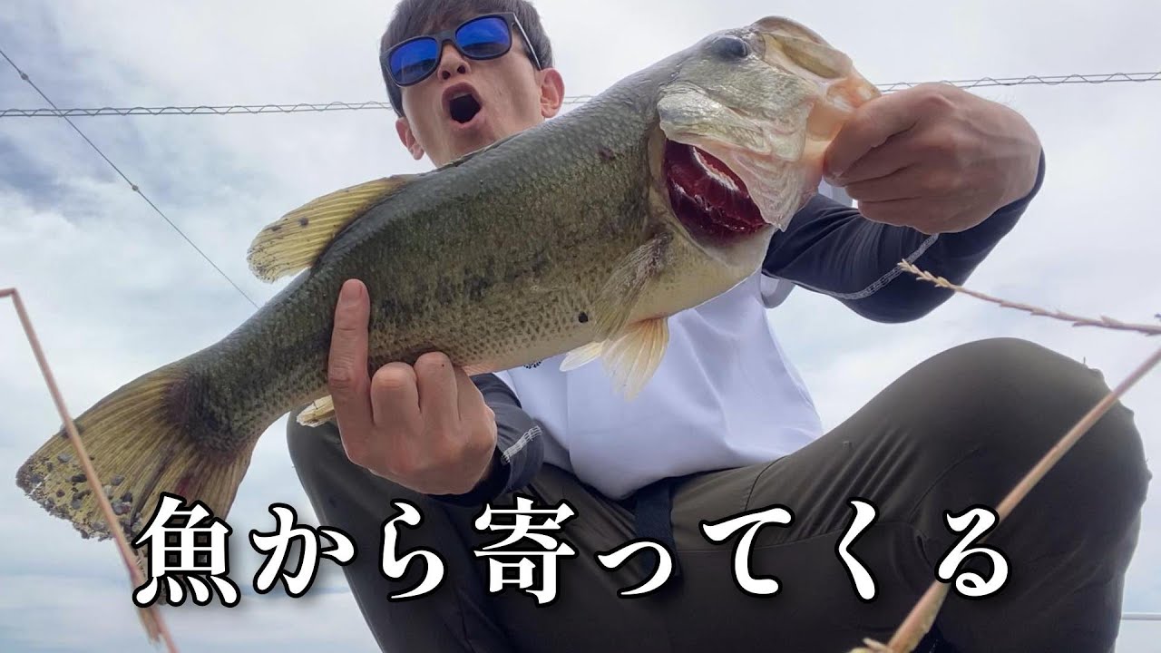 今までに無い驚異的な釣り方を試した所、凄かったので動画に残します