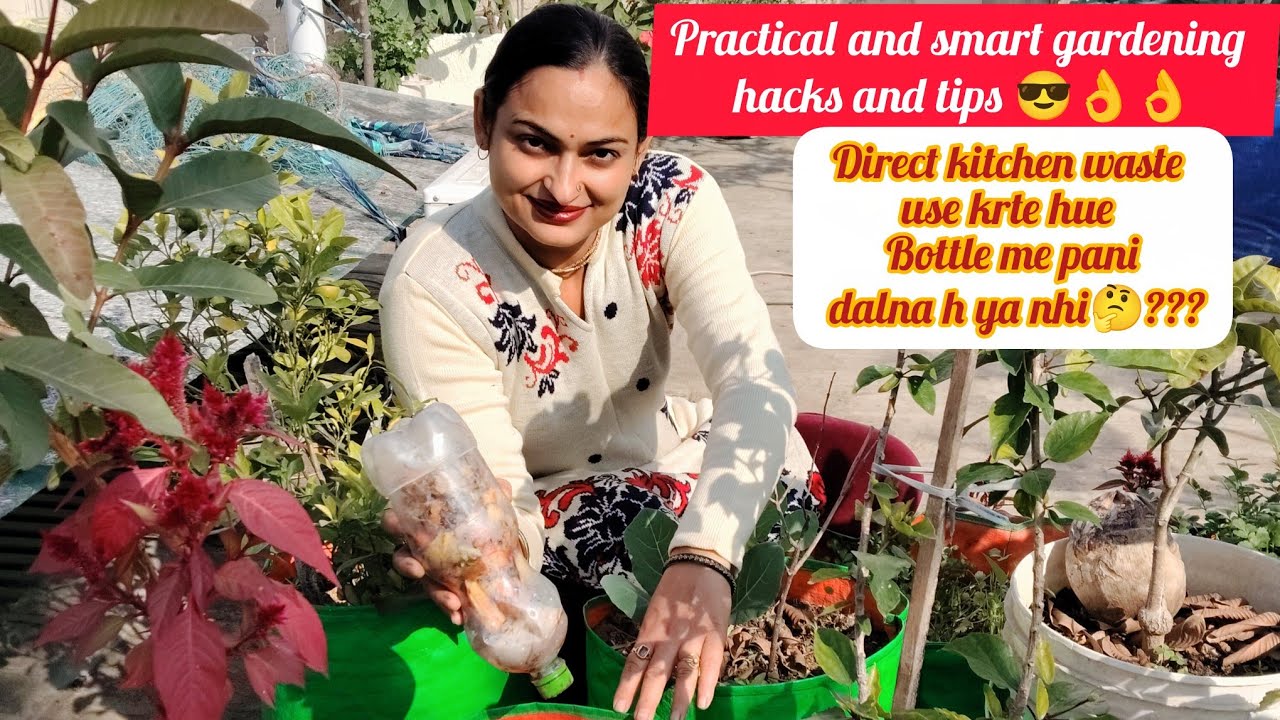 Direct kitchen waste use karte hue botal mein pani dalna hai ya nhi🤔/ smart gardning hacks and tips👌