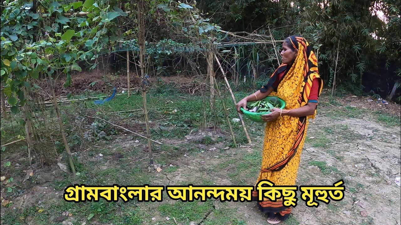 গ্রাম বাংলার আনন্দময় কিছু মূহুর্ত - Natural Village  life in Bangladesh - Mohammadpur