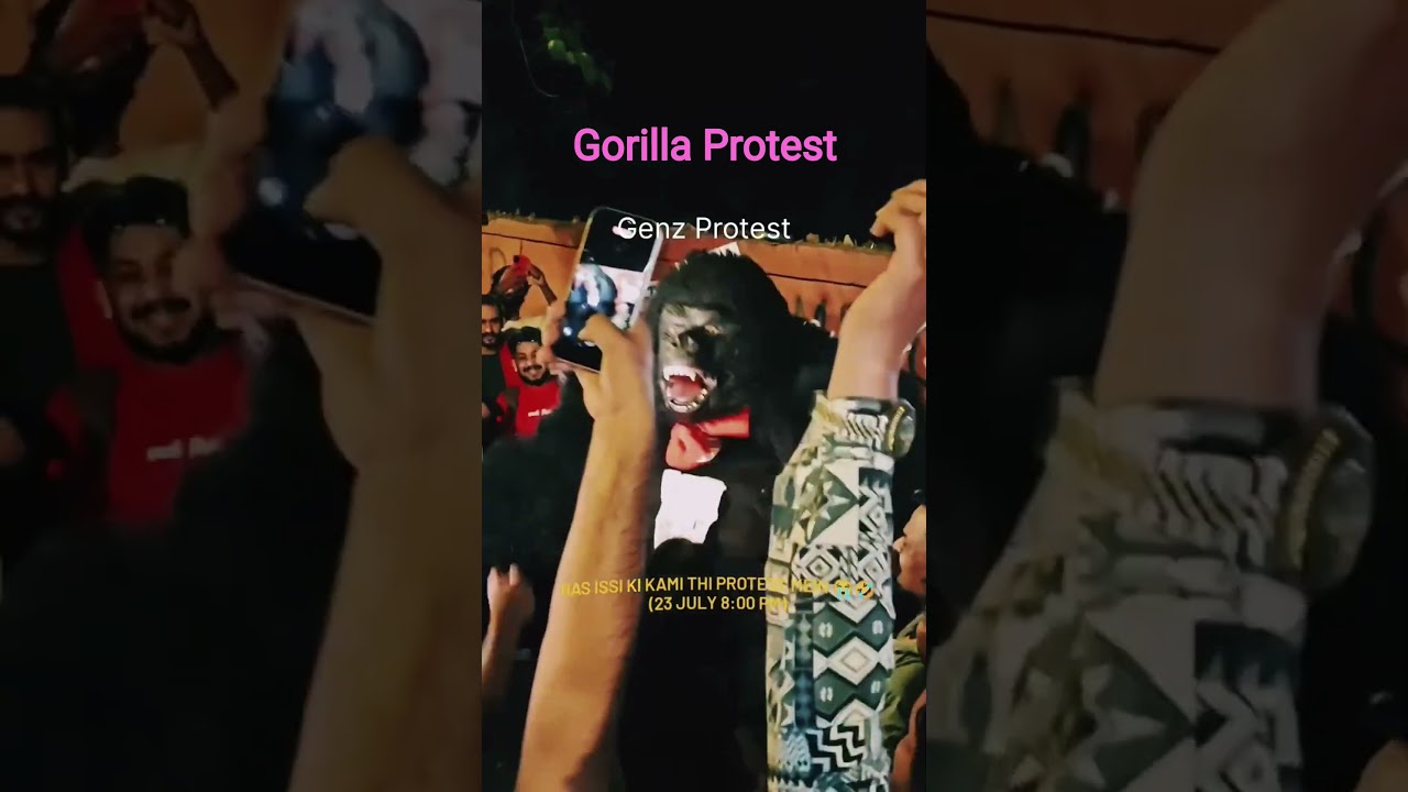 Gorilla Protest #cjp #jantarmantar #protest #viralvideo #shorts