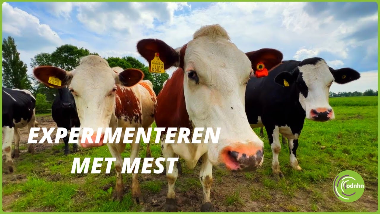 Experimenteren met mest | #2 | OD NHN TV