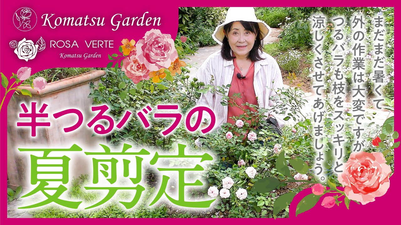 【バラの剪定】半つるバラの夏剪定