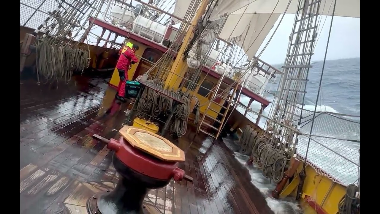 Bark Europa:  John gets ambushed