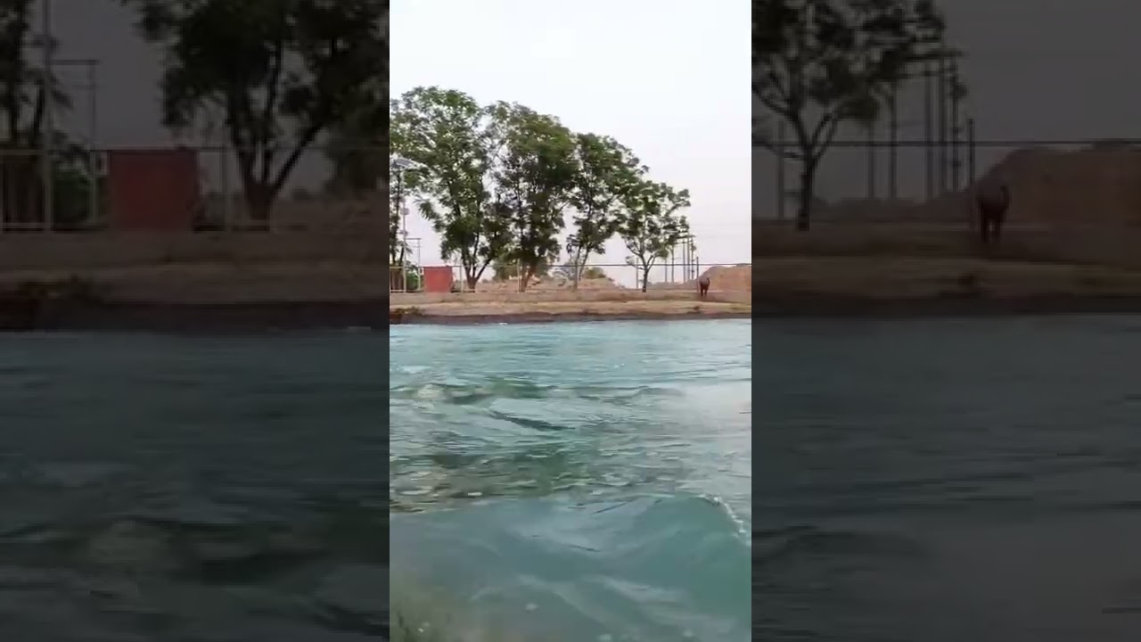 Tohana head❤️ Tohana #nature#photography#park#love#sirsa#chandigarh#jaipur #india #tohana