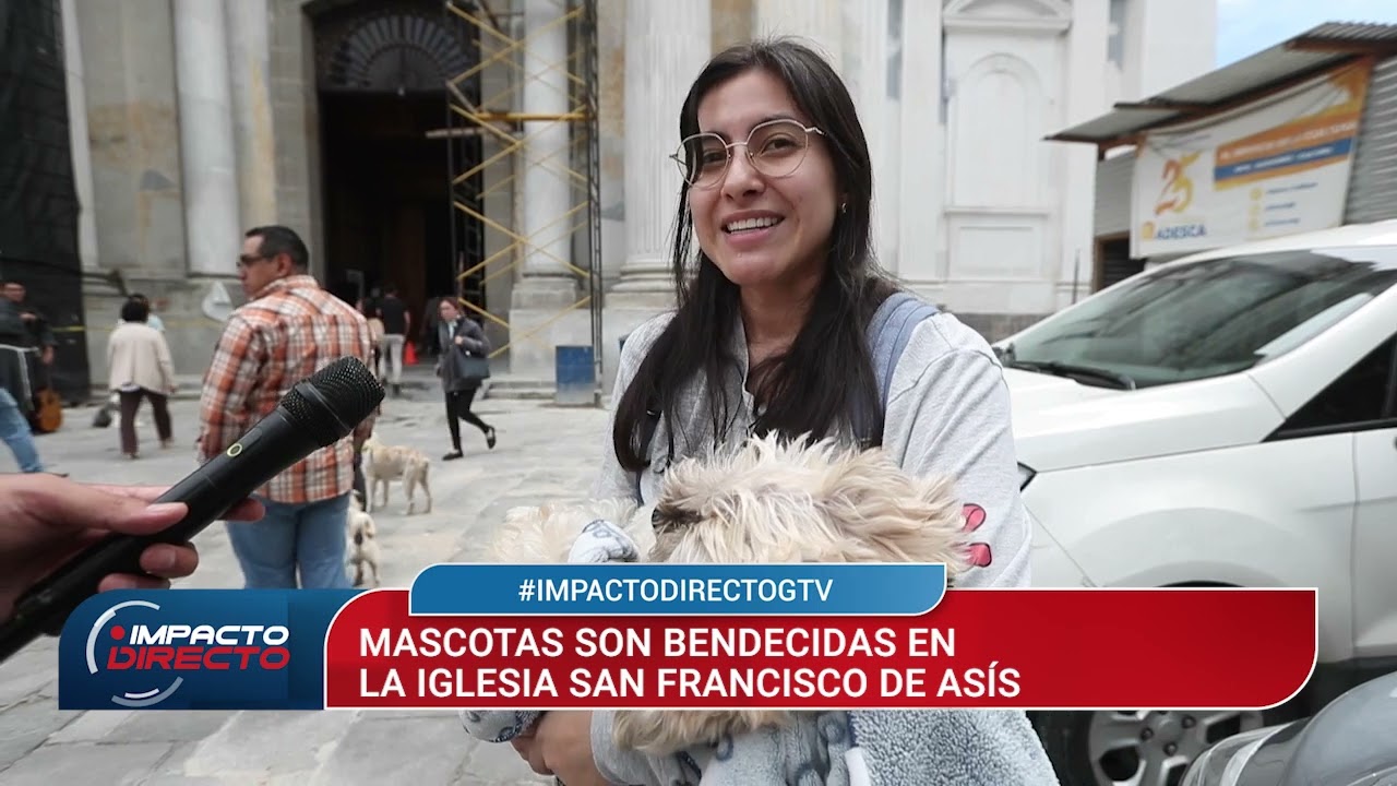 Mascotas como perros y gatos reciben la bendición en el día de San Francisco de Asís