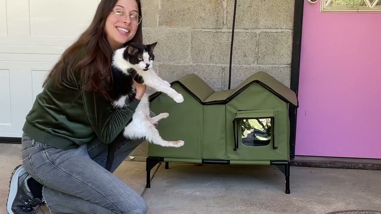 Watch Perfect house to warm up and keep outdoor cats cozy
