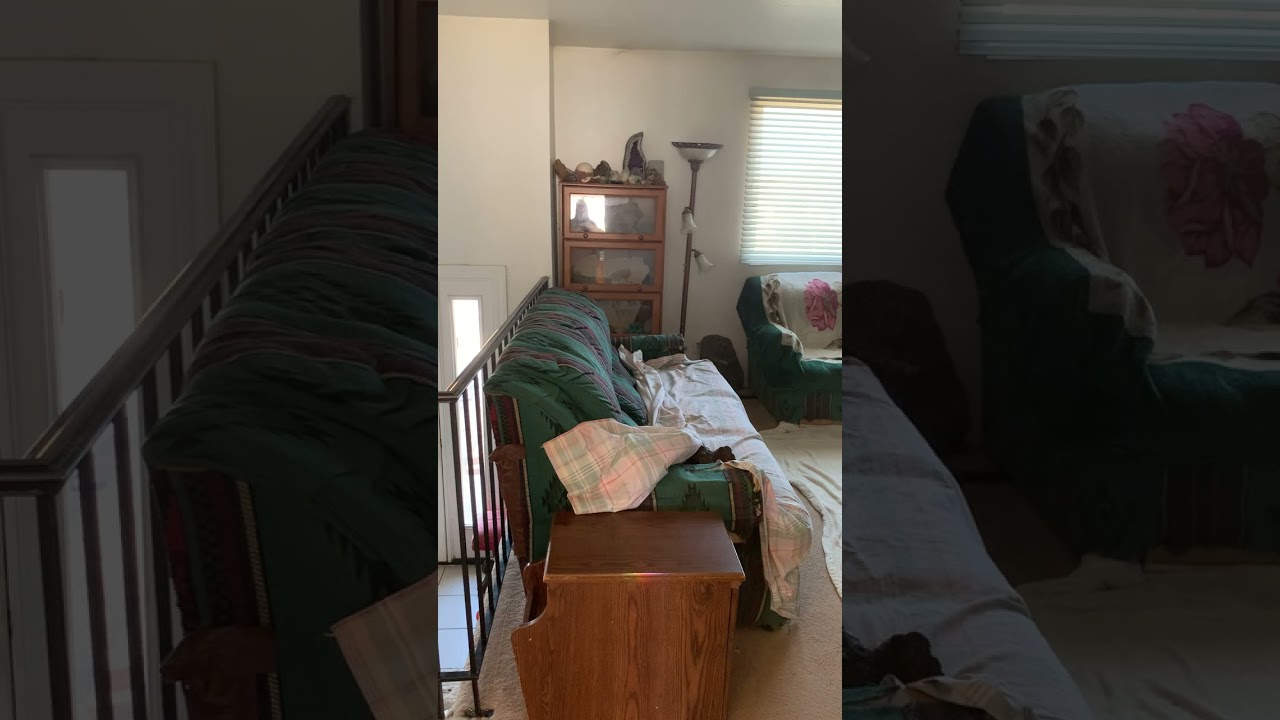 Hidden Rose and her morning zoomies @CherokeeGal123 