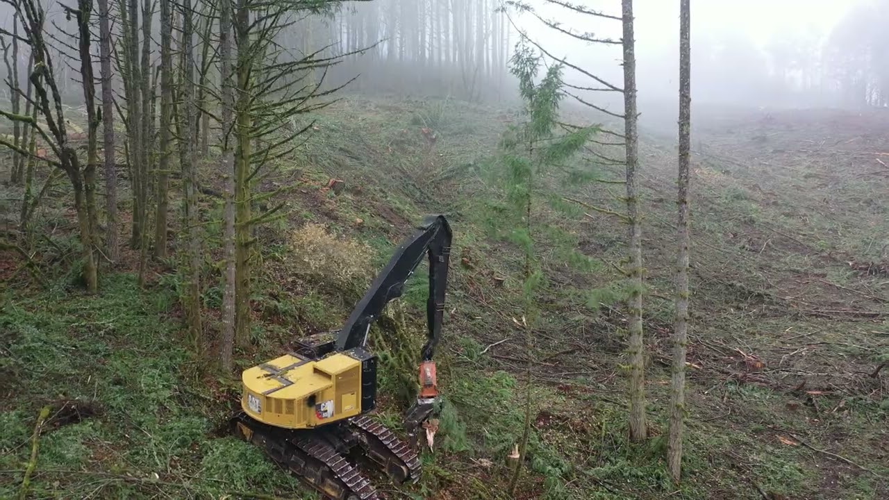 Thanksgiving eve 2021 Yamhill Oregon