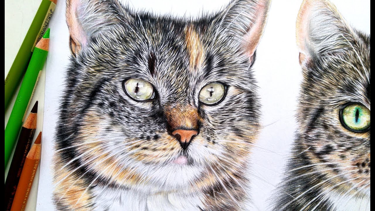 Drawing and shading a cat eye | Colored pencil | Leontine van vliet