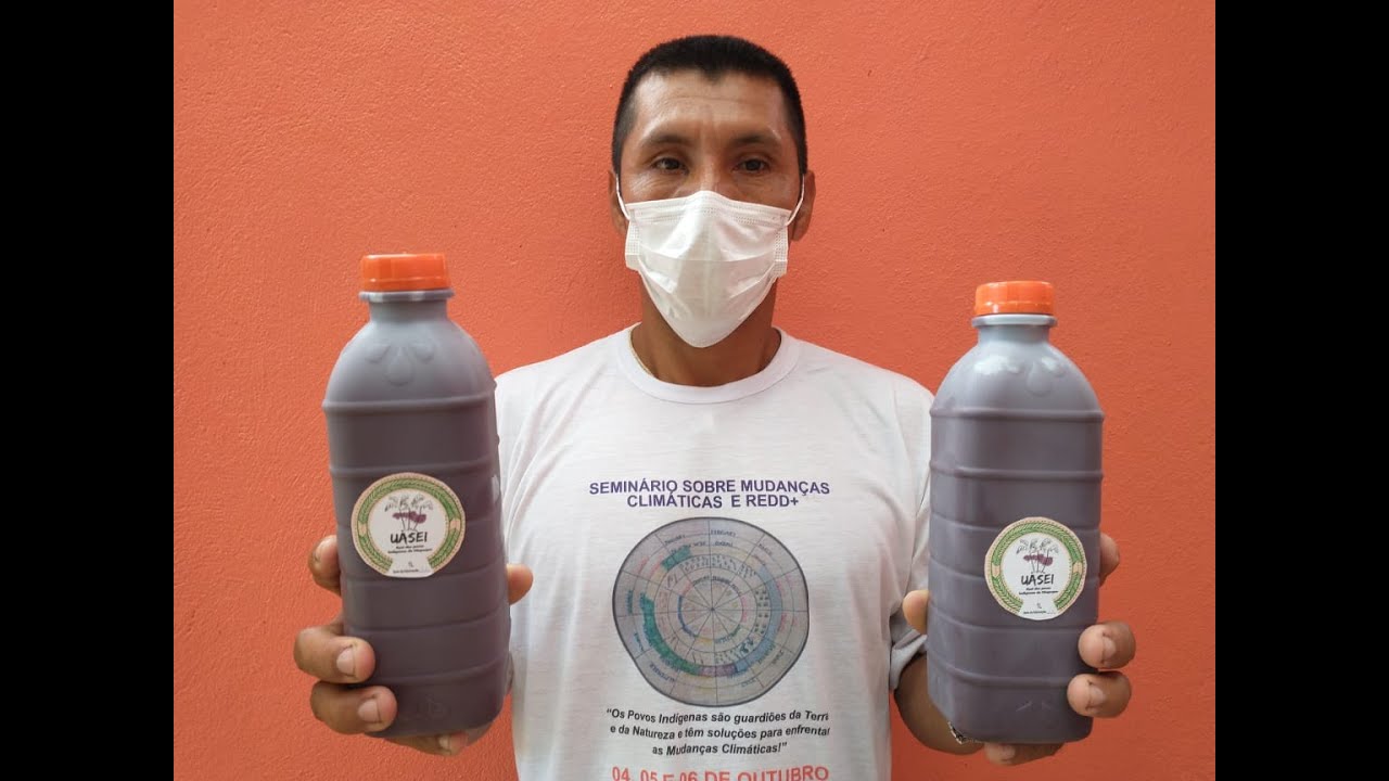 Produção do UASEI -  O açaí dos povos indígenas do Oiapoque
