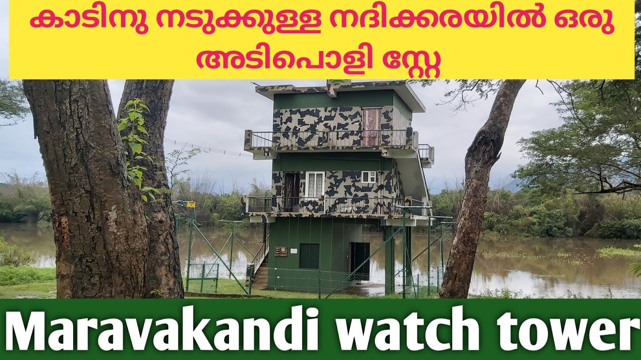 MASINAGUDI GOVERNMENT GUEST HOUSE |FOREST STAY IN MUDUMALAI TIGER RESERVE