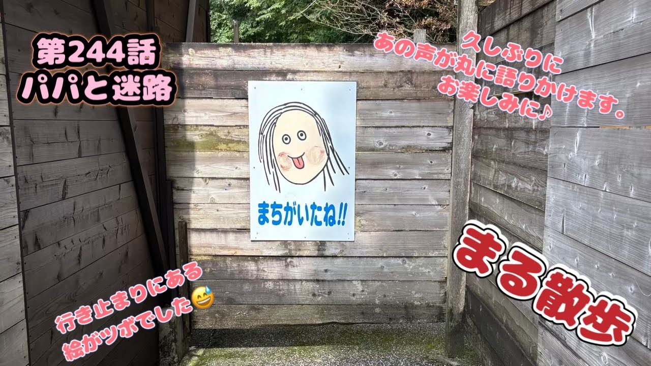 【@巨大迷路】まる散歩 第244話、パパと迷路
