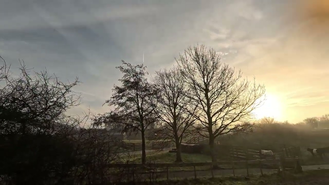 MTB route Zoetermeer. Leuke verrassingen🔥