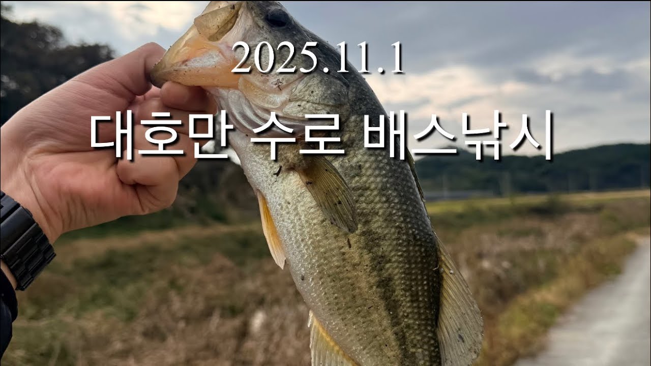 시즌 끝자락 대호만 수로 배스낚시 #fishing #배스낚시 #bassfishing #bass #대호만 #배스 #수로 