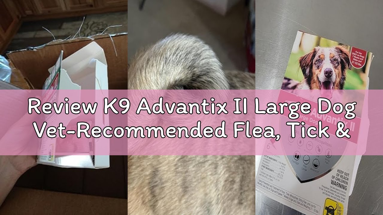 Review K9 Advantix II Large Dog Vet-Recommended Flea, Tick & Mosquito Treatment & Prevention | Dogs