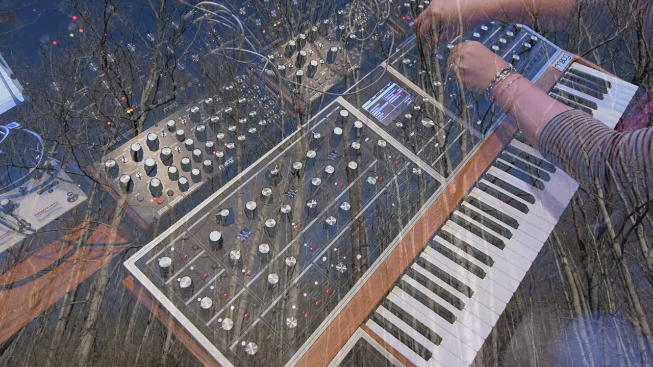 Lisa Bella Donna - Moog One (Instant Composition)
