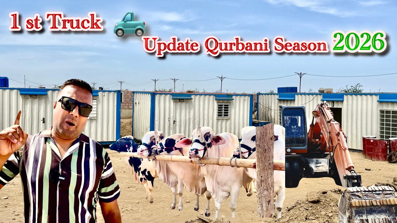 1st Truck 🛻 Update ||  Karachi Cow Mandi 2026 || Qurbani Season 2026 