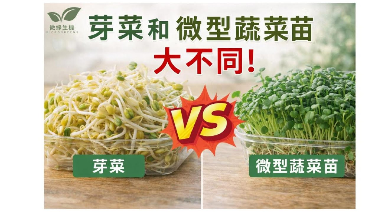 芽菜Sprouts vs 微型蔬菜苗差Microgreens在哪？營養、種植、吃法一次搞懂