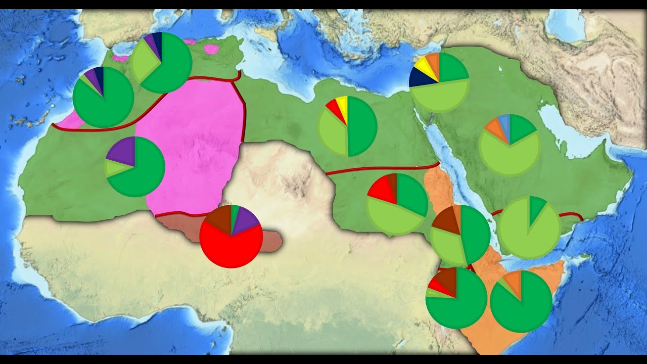 La génétique du monde arabe: diversité des héritages au sein des haplogroupes Y