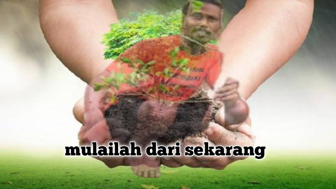 Pentingnya Sedia payung sebelum hujan #vidiokreatif