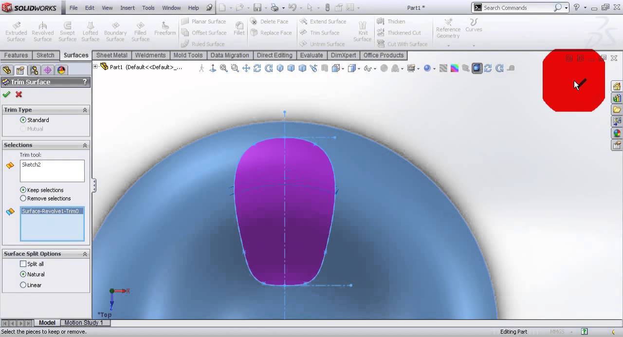 Video Tutorial on modeling flower in SolidWorks