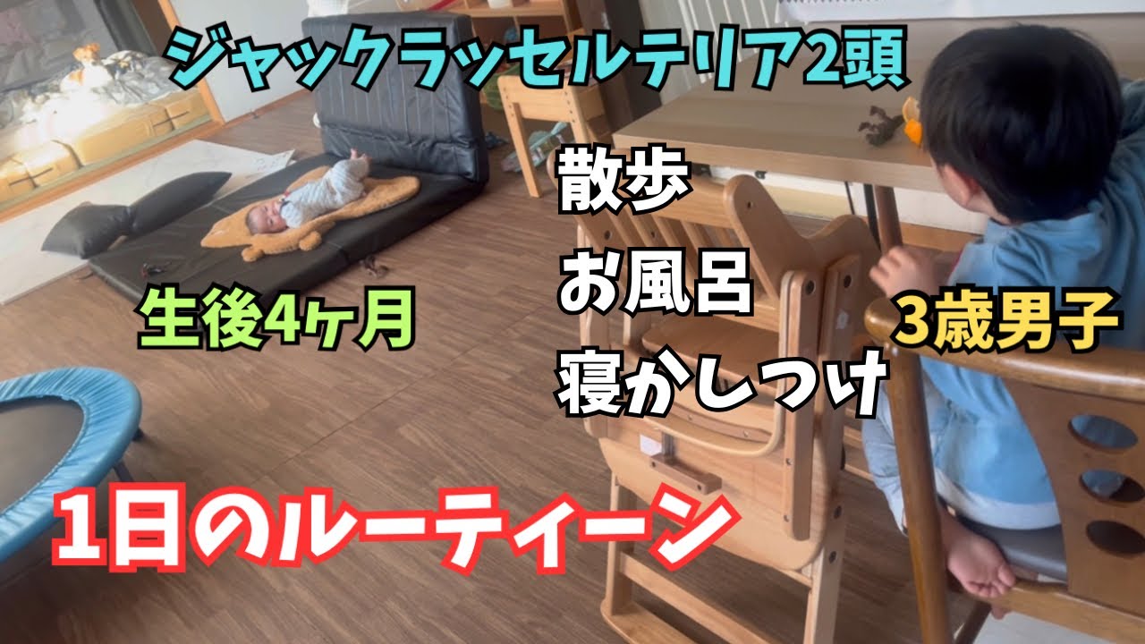 【生後4ヶ月】赤ちゃんと犬のいる暮らし通常ルーティーン