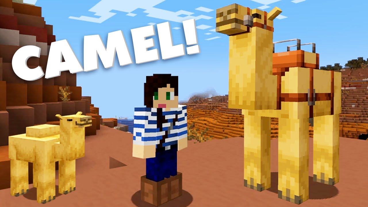 Seeing Minecraft camels for the first time!