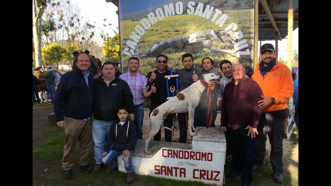 Carreras de Galgos en Canódromo de Santa Cruz