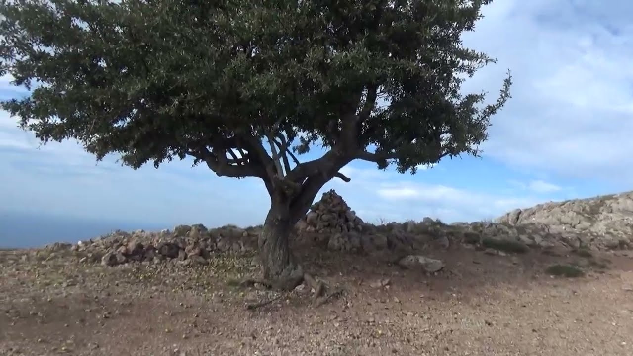 Поход Крым: Алупка Балаклава,  Байдарские ворота, урочище Батилиман 2022 часть 2.