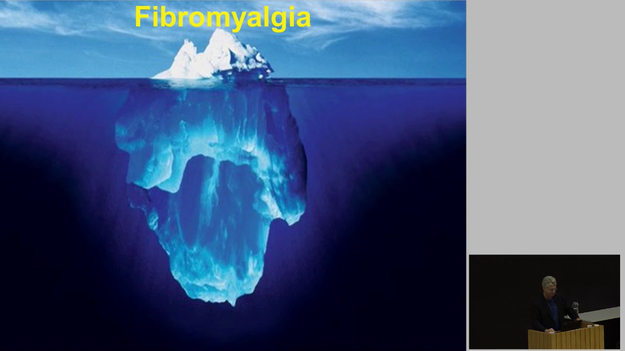 Seminar om fibromyalgi og kroniske smerter - Sykdomsmekanismer