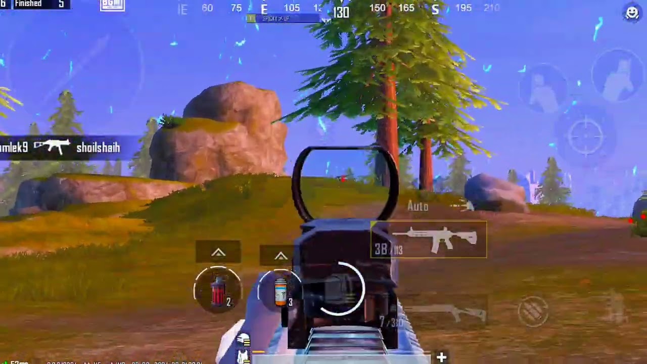 Solo Chicken Possible!!???