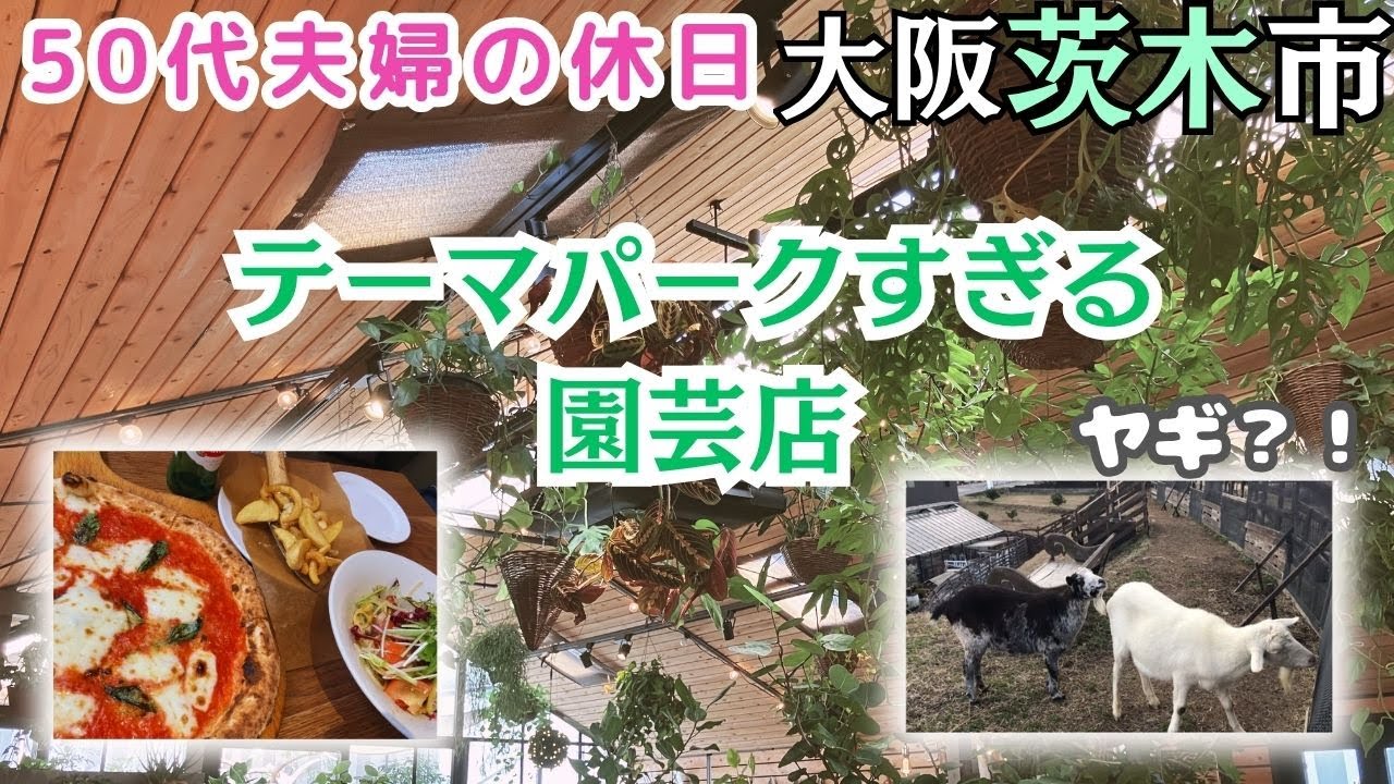 【茨木市ドライブ】まるで植物園？園芸店のおしゃれカフェへ日帰りランチ旅