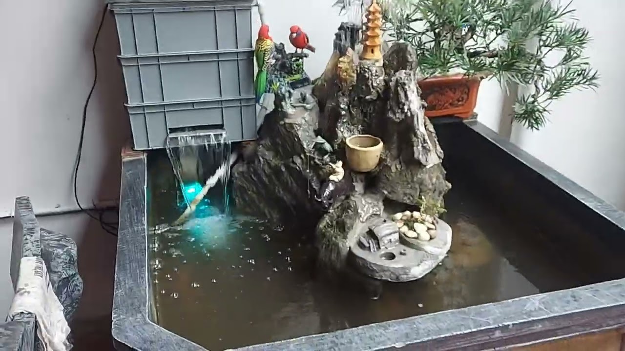 Vệ sinh Bể Cá cảnh lồng chim