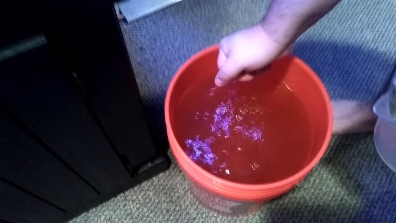 Day 3 of dosing Bacter Clean M by Continuum