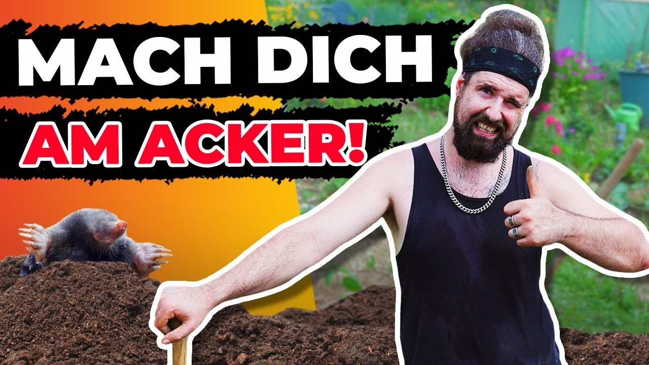 Chilis auf dem Acker! So baut ihr eure Chilis im Freien an