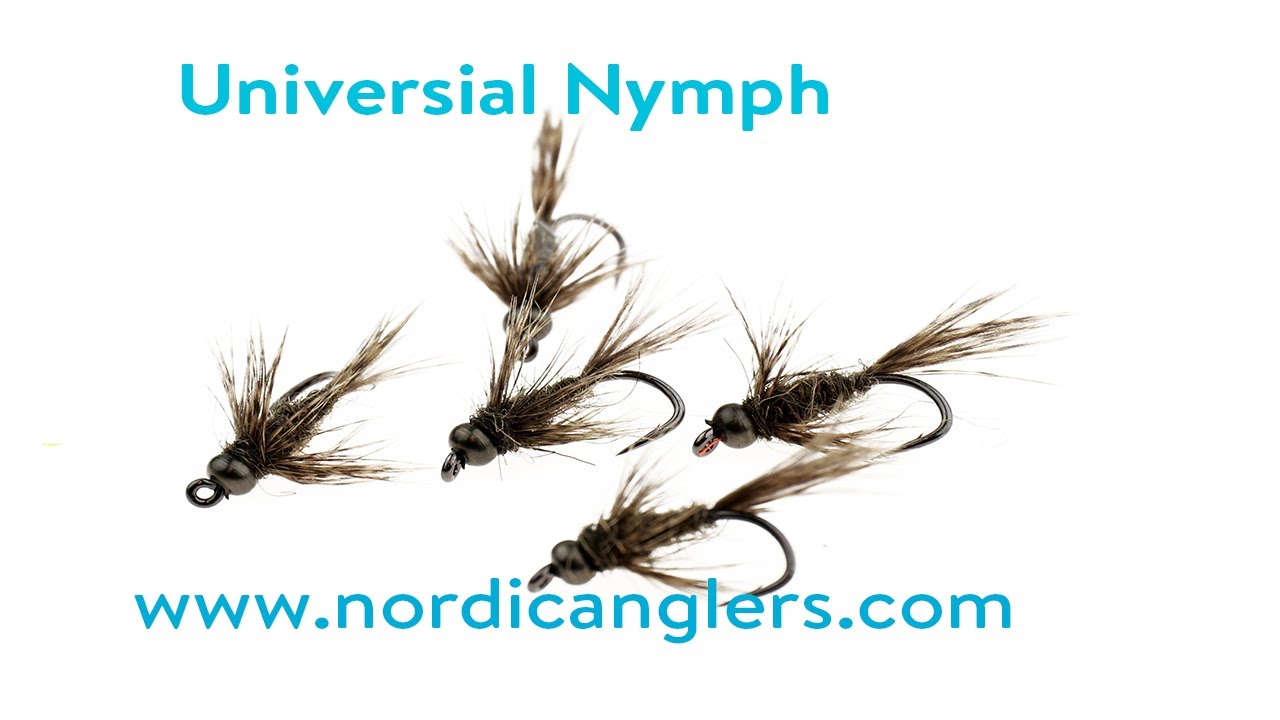 Fluebinding:  Universal nymph til å og put and take