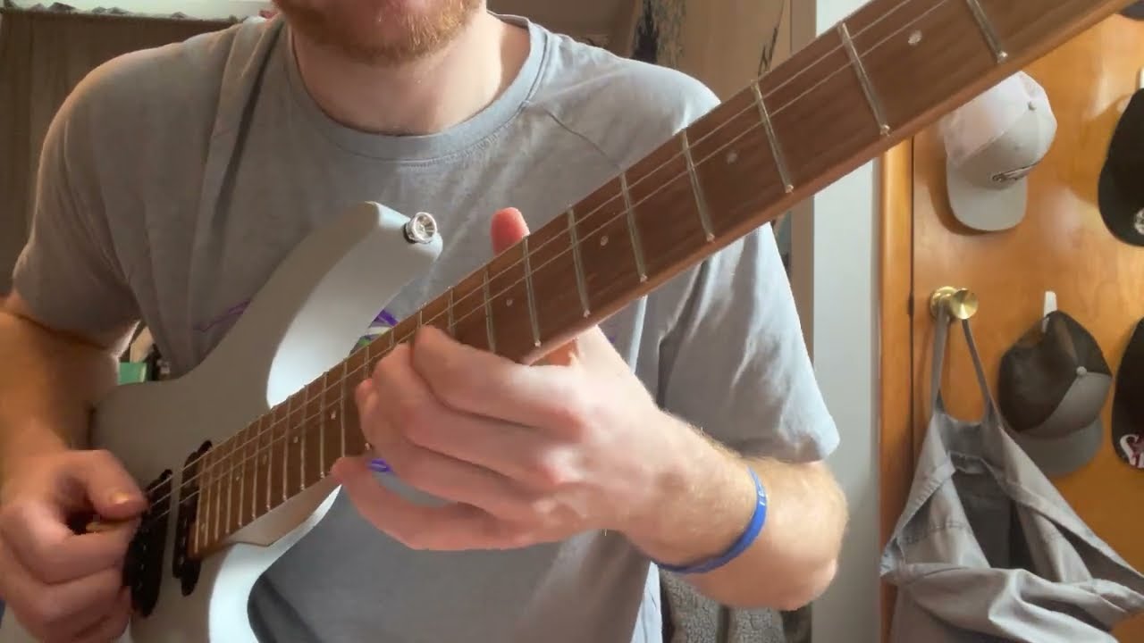 The Zenith Passage - Lexicontagion (Solo Cover)